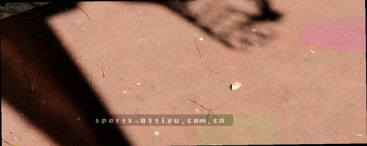 计时器与记录卡横向平铺排列的特写，画面规整，无人物出现